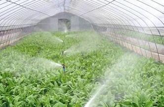 园林常用的灌溉技术